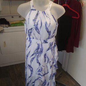 Woman's blue and white maxi dress